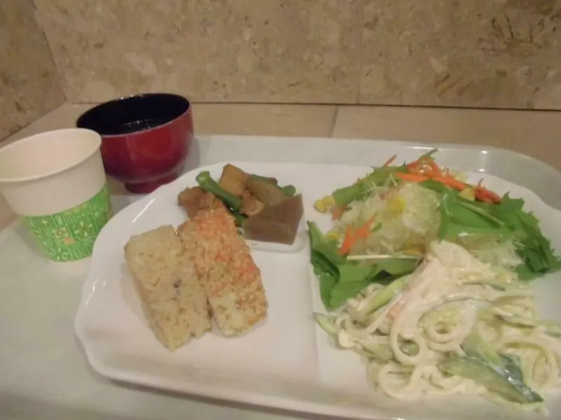 *** Hotel Toyoko Inn Shin-Osaka Chuo-Guchi Shinkan Japan